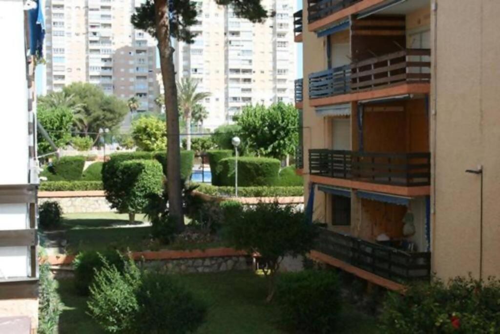 Las Lanzas Studio Apartment Playa Muchavista El Campello Εξωτερικό φωτογραφία